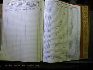 McDowell Births & Deaths 330.JPG