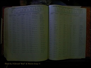 McDowell Marriages, 1851--1991 336.JPG