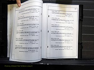 Monroe Co, GA, Marriages, Book B, 1846-1870 pg 010-011.JPG