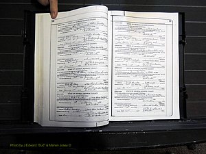 Monroe Co, GA, Marriages, Book J, 1929-1938 pg 032-033.JPG