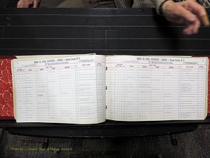 Orange Co, NC, Births, N-R, 1913-1978 (119).JPG