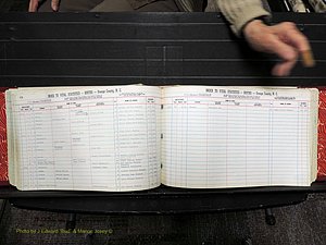 Orange Co, NC, Births, N-R, 1913-1978 (181).JPG