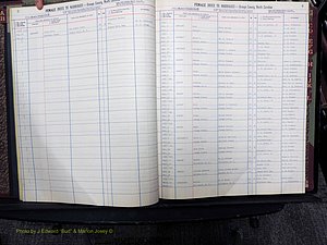 Orange Co, NC, Marriages, Female, A-L, 1911-1964 (108).JPG