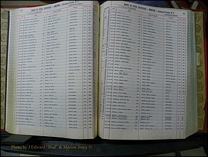 Richmond Births, A-Z, 1914-1945 358.JPG