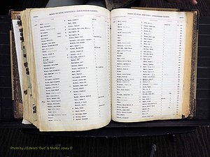 Rockingham Co, NC, Births, 1913-1928 (408).JPG