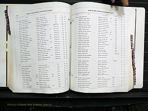 Rockingham Co, NC, Births, 1968-1981 (201).JPG