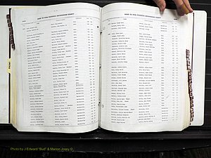 Rockingham Co, NC, Births, 1968-1981 (203).JPG