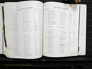 Rockingham Co, NC, Births, 1982-1987 (194).JPG