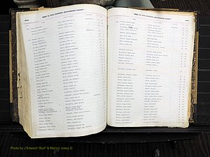 Rockingham Co, NC, Births, Mc-Z, 1949-1967 (318).JPG