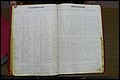 Rutherford Co, NC, Marriages 1889 - 1897 (45).JPG
