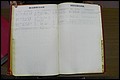 Rutherford Co, NC, Marriages 1889 - 1897 (50).JPG