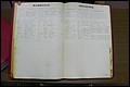 Rutherford Co, NC, Marriages 1889 - 1897 (56).JPG