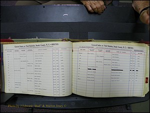 Stanley Co, NC Births, N-Q, 1913-1994 (10).JPG