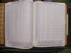 Union Co, NC Marriages Female Index, A-Z, 1980-1993 (41).JPG