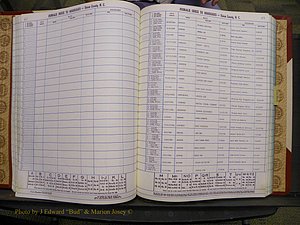 Union Co, NC Marriages Female Index, A-Z, 1980-1993 (97).JPG