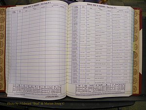 Union Co, NC Marriages Female Index, A-Z, 1980-1993 (99).JPG