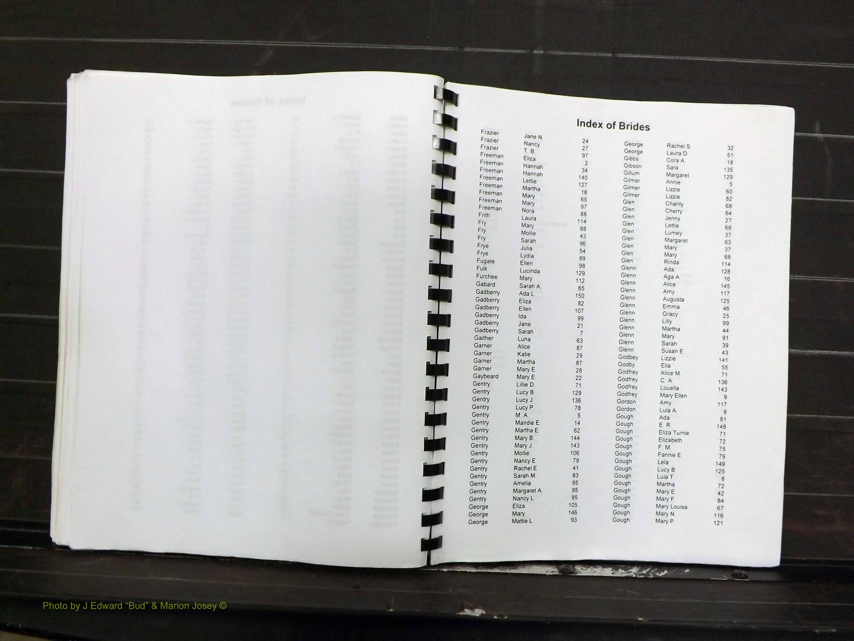 Yadkin Co, NC, Marriage Index, Male & Female 1867-1901 (265).JPG