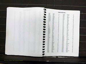 Yadkin Co, NC, Marriage Index, Male & Female 1867-1901 (265).JPG