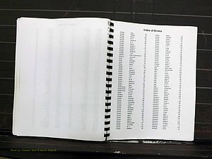 Yadkin Co, NC, Marriage Index, Male & Female 1867-1901 (266).JPG