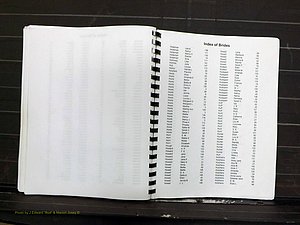 Yadkin Co, NC, Marriage Index, Male & Female 1867-1901 (269).JPG