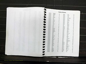 Yadkin Co, NC, Marriage Index, Male & Female 1867-1901 (270).JPG