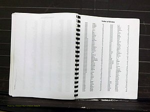 Yadkin Co, NC, Marriage Index, Male & Female 1867-1901 (271).JPG
