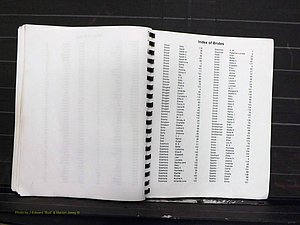 Yadkin Co, NC, Marriage Index, Male & Female 1867-1901 (282).JPG