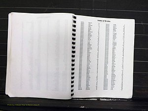 Yadkin Co, NC, Marriage Index, Male & Female 1867-1901 (283).JPG