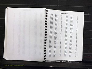 Yadkin Co, NC, Marriage Index, Male & Female 1867-1901 (284).JPG