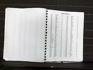 Yadkin Co, NC, Marriage Index, Male & Female 1867-1901 (286).JPG