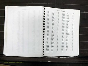 Yadkin Co, NC, Marriage Index, Male & Female 1867-1901 (287).JPG