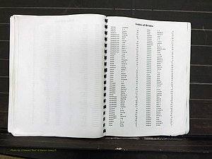 Yadkin Co, NC, Marriage Index, Male & Female 1867-1901 (288).JPG