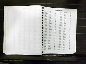 Yadkin Co, NC, Marriage Index, Male & Female 1867-1901 (289).JPG