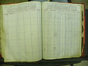 Yancey Births, 1913-1939, Index P, 133.JPG