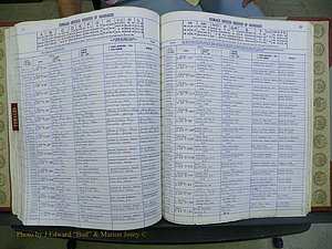 Yancey Co, NC Marriages, 1979-1999, A-Z (210).JPG